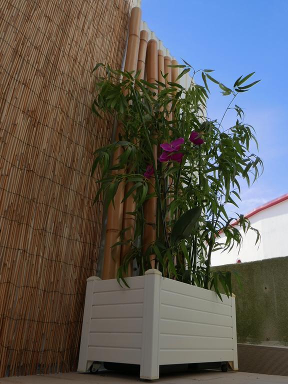 Casa vacanze Casa Do Cabeta